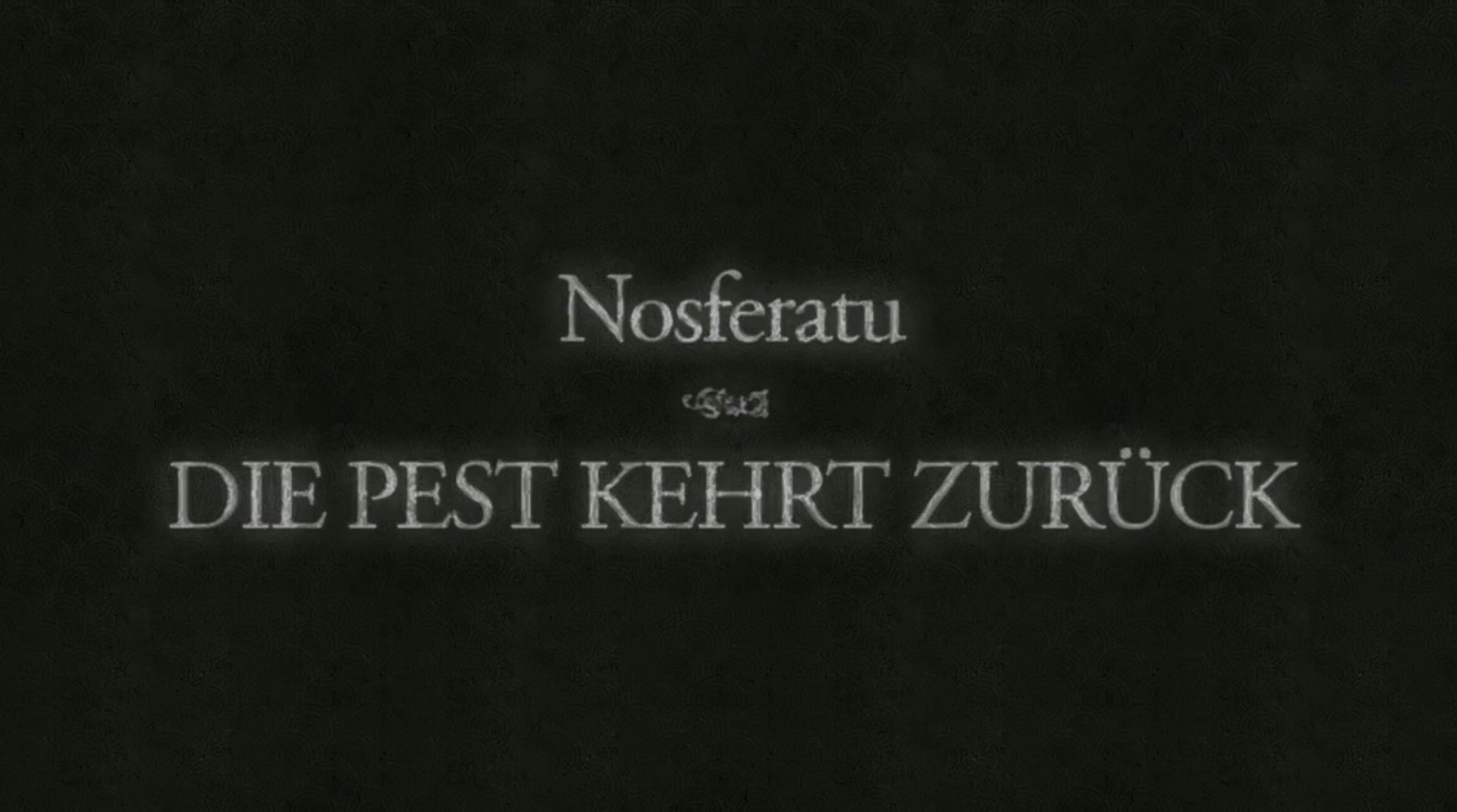 NOSFF1.jpg
