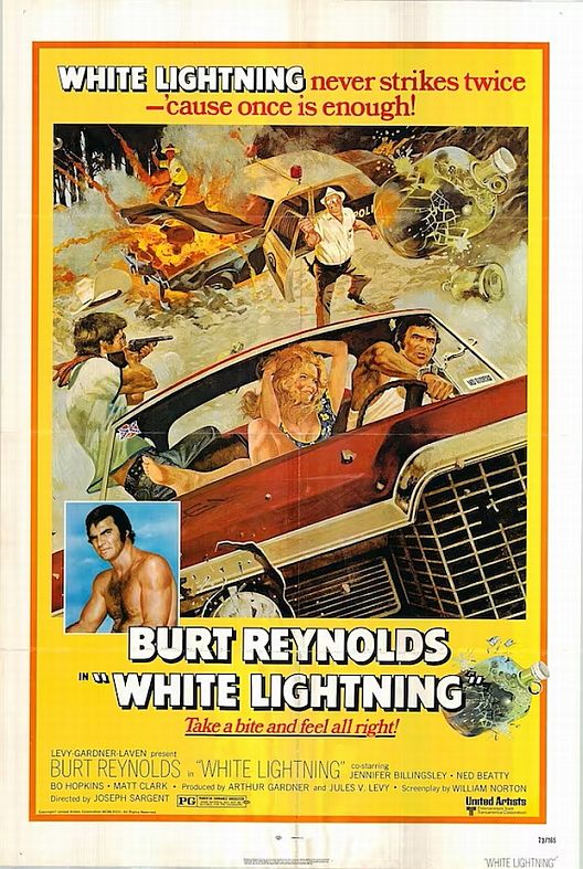 Der Tiger hetzt die Meute.jpg