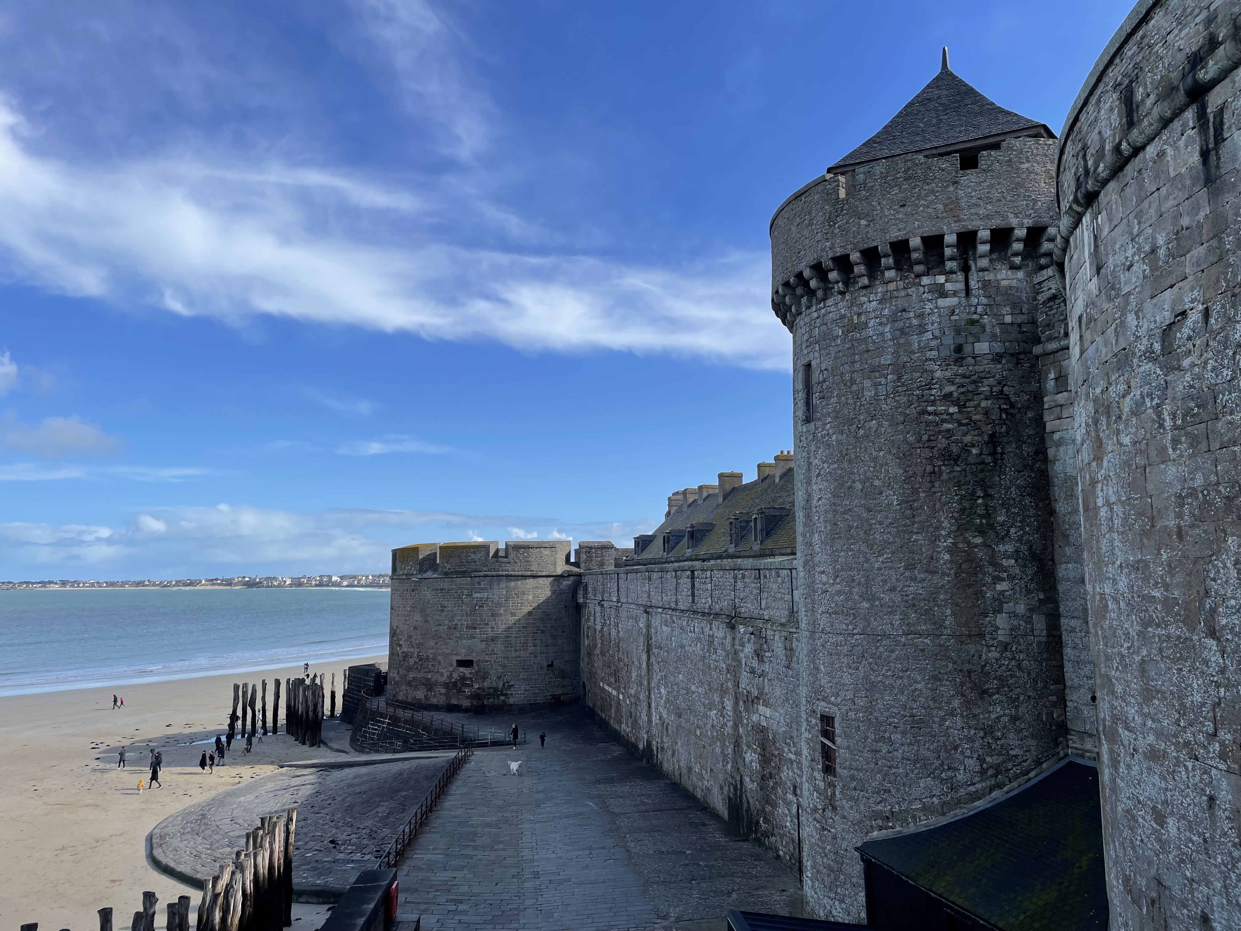 IMG_7930.jpeg