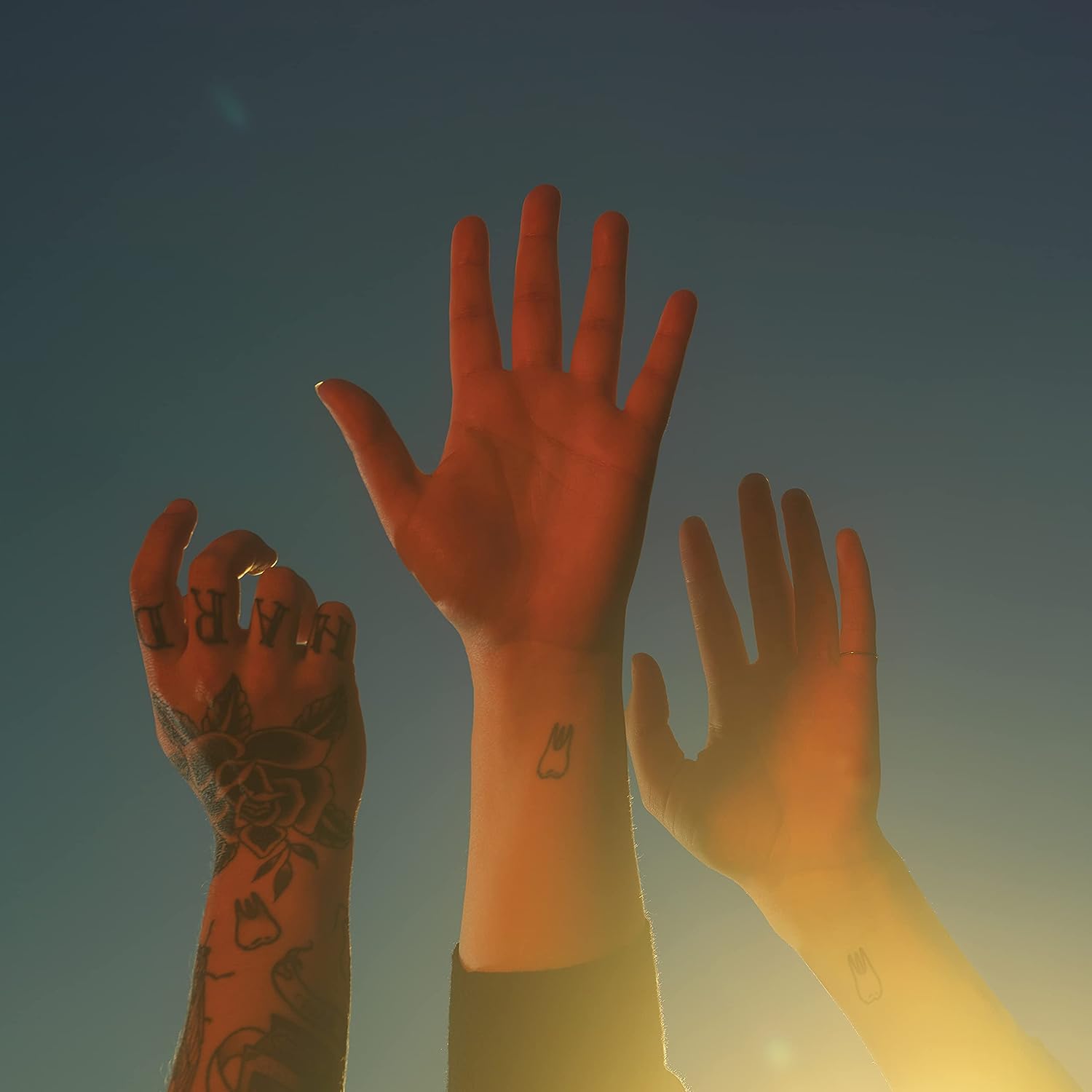 boyg.jpg