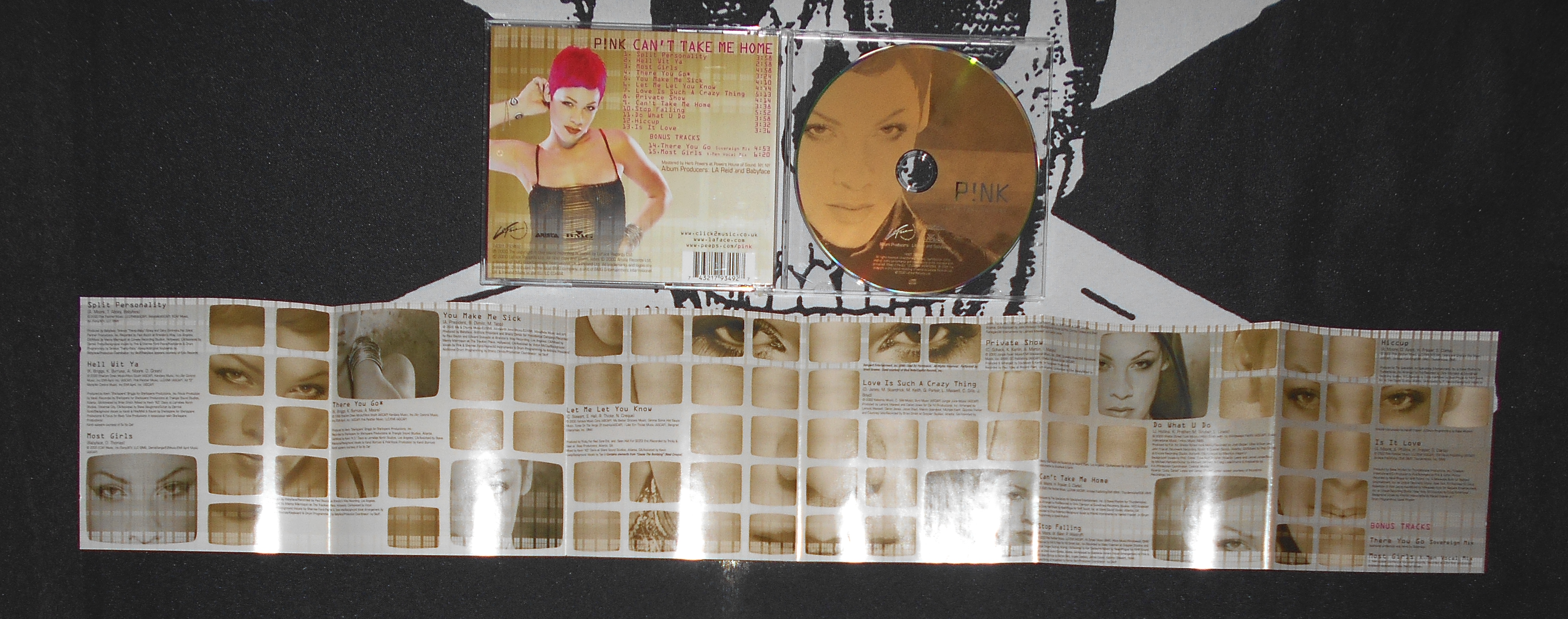 PINK - Cant take me Home.JPG