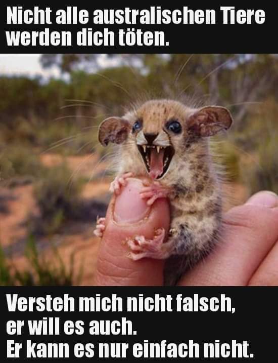 FB_IMG_1638436142460.jpg