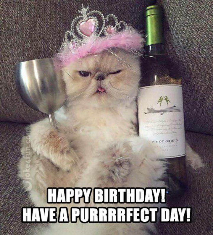 Tomaso hat Geburtstag.jpg